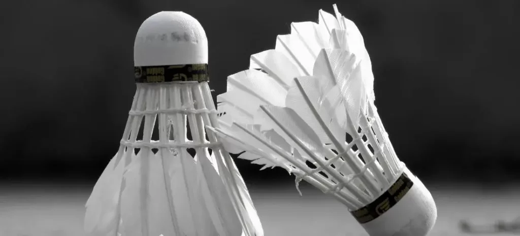 Which Shuttlecock is Best for Outdoors