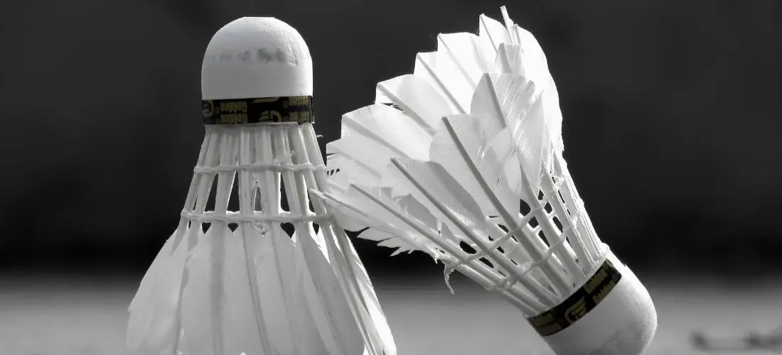 Which Shuttlecock is Best for Outdoors