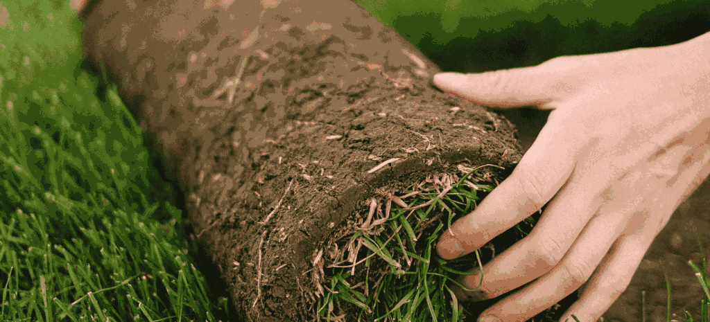 Turf maintenance