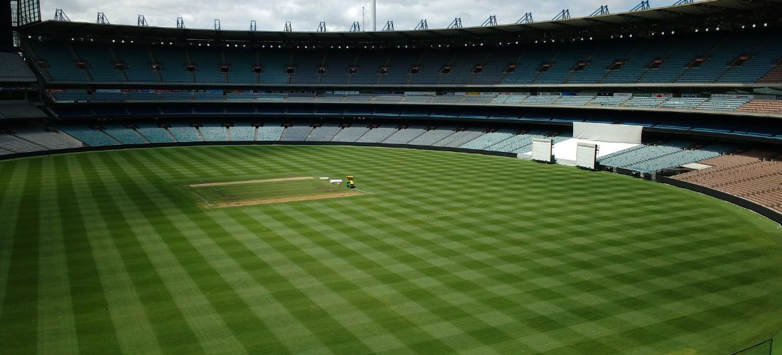 Hybrid Cricket Pitches