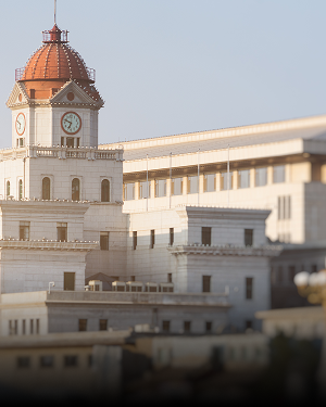 Government &Municipal Bodies 