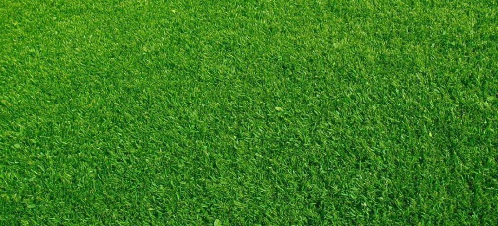 artificial turf installation