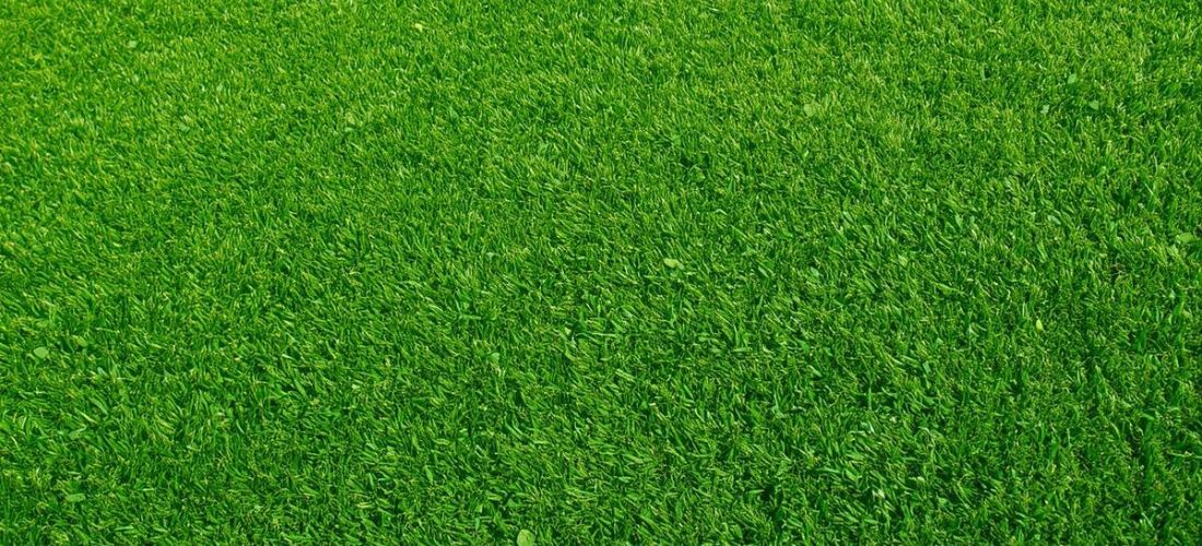 artificial turf installation