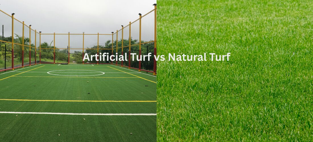 Artificial Turf vs Natural Turf