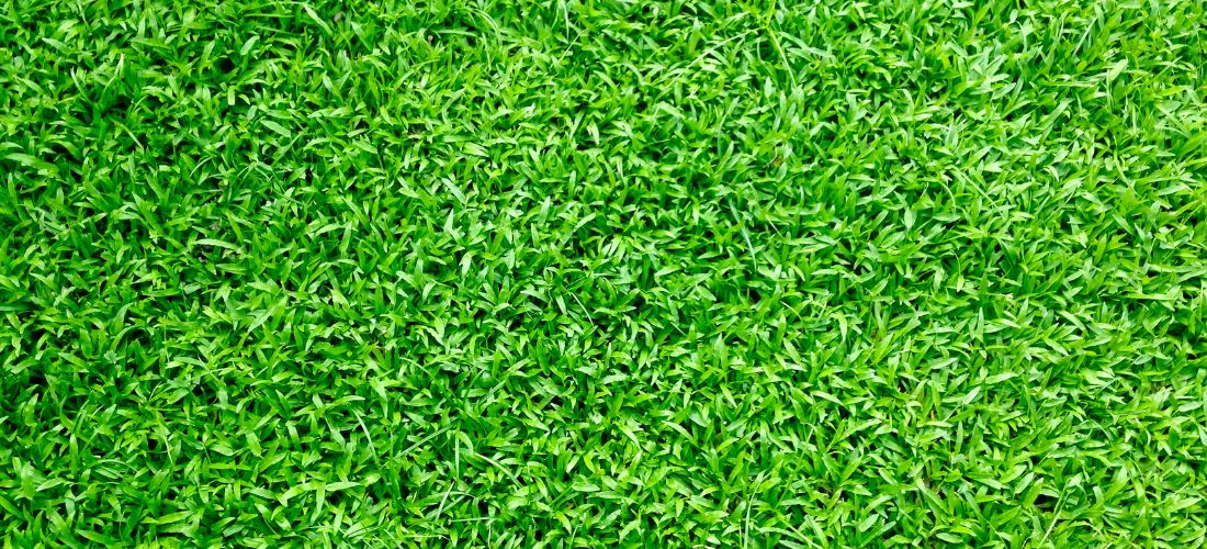 FIFA certified artificial turf