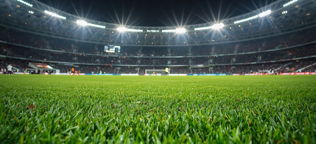 Play Turf Every Day in India