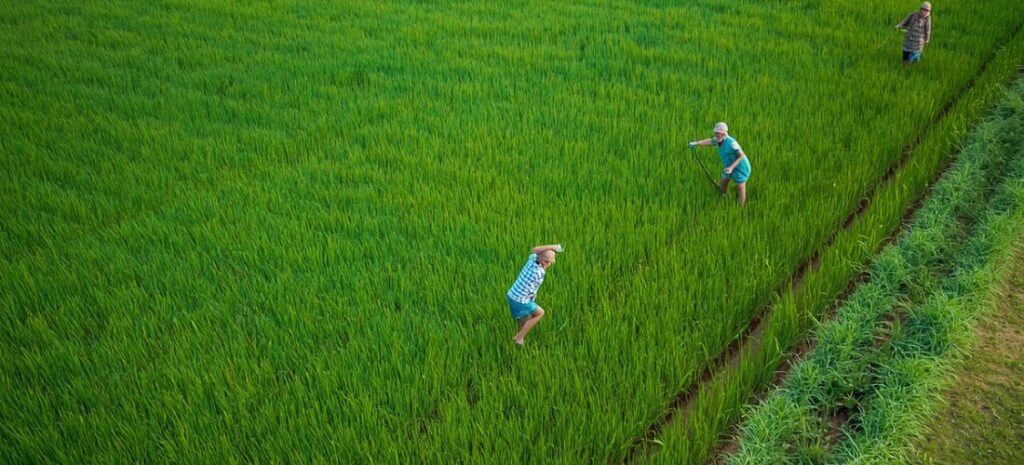 Turf Business in India