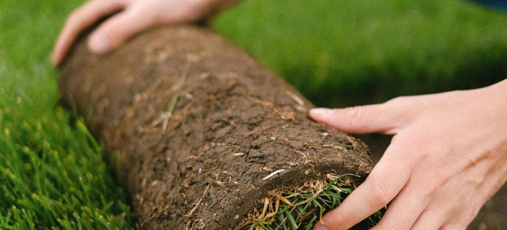 Clean Artificial Turf the Right Way