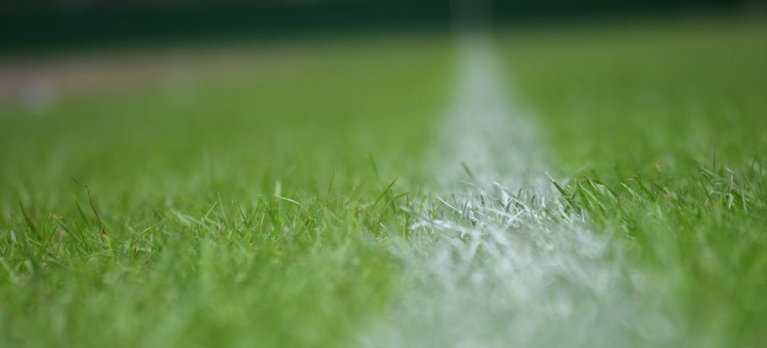 Turf Adhesive for Sports Fields