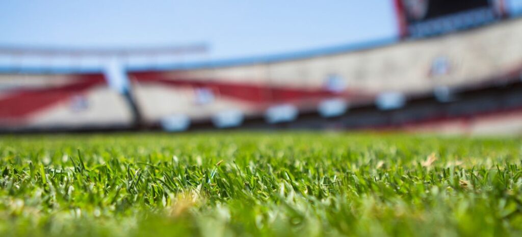 Can You Lay Artificial Grass Over Turf